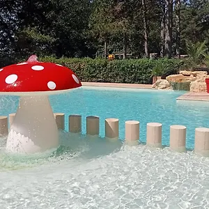 Camping Parc Saint Sauvayre ***