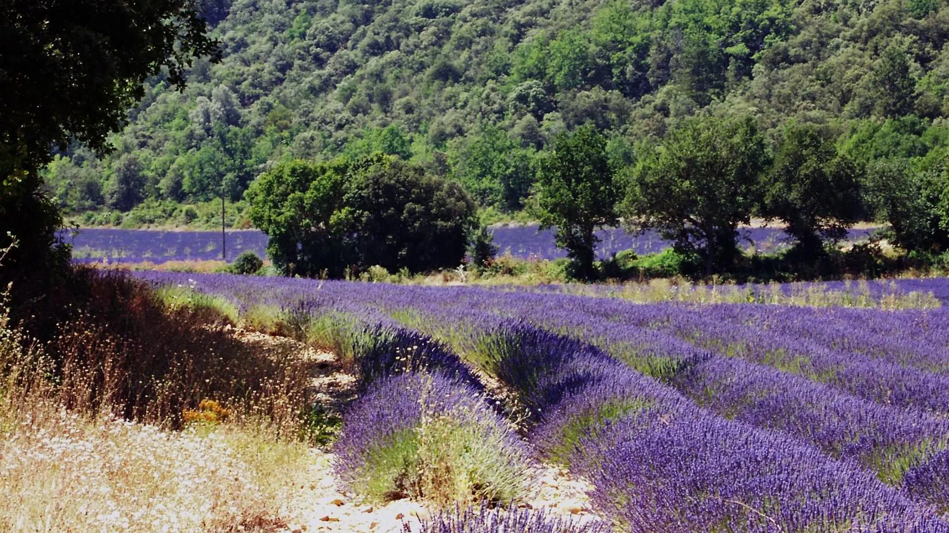 Hotel Villa Borghese, The Originals Relais Greoux-les-Bains